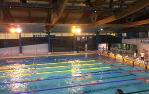 Championnats de France Maitres : 7 nageurs à Angers