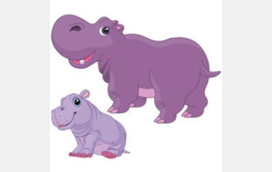 Stage Printemps Hippo