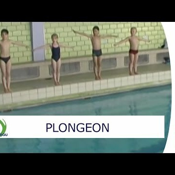 plongeon